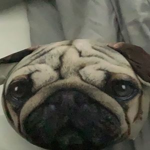 Pug pillow.